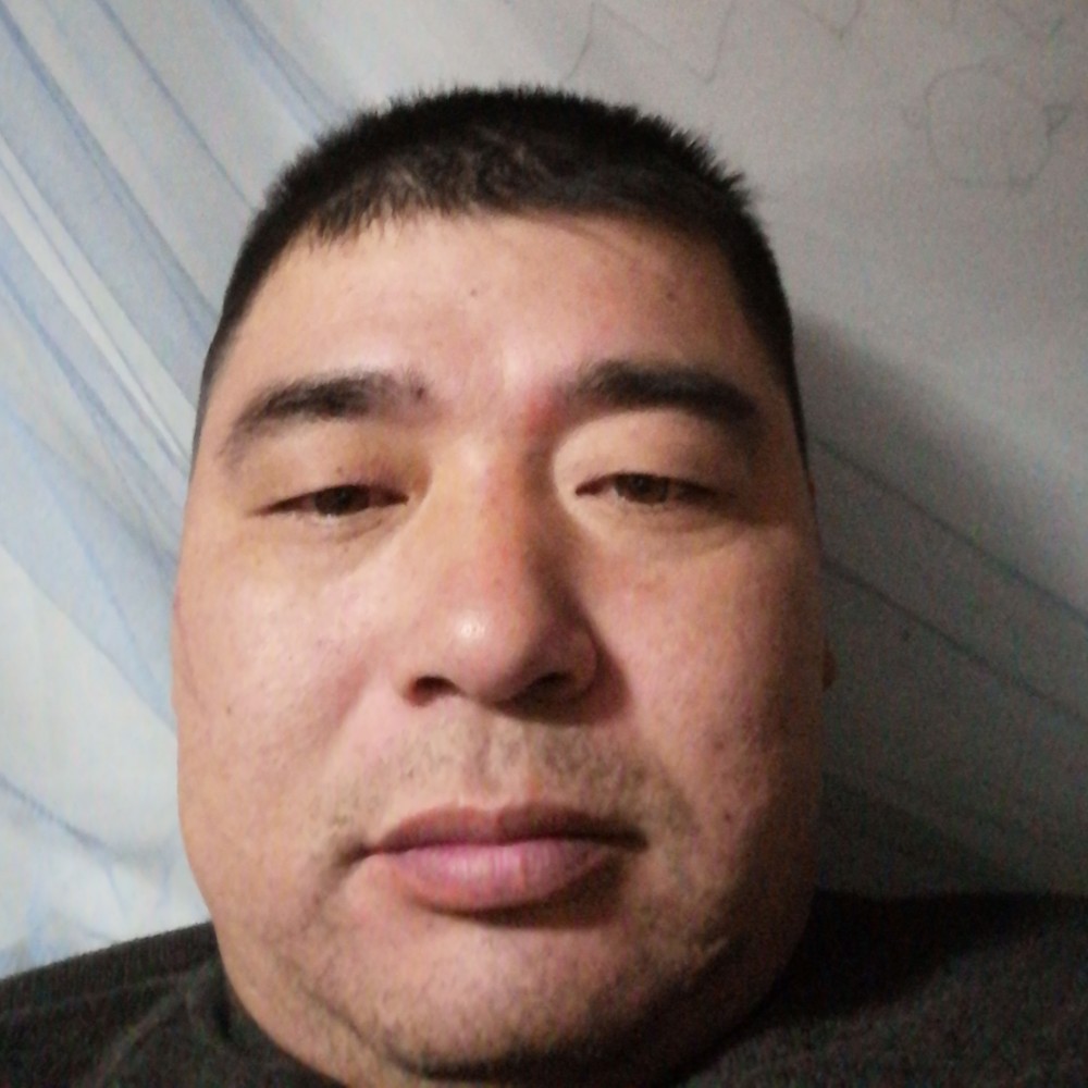 开心金毛的照片