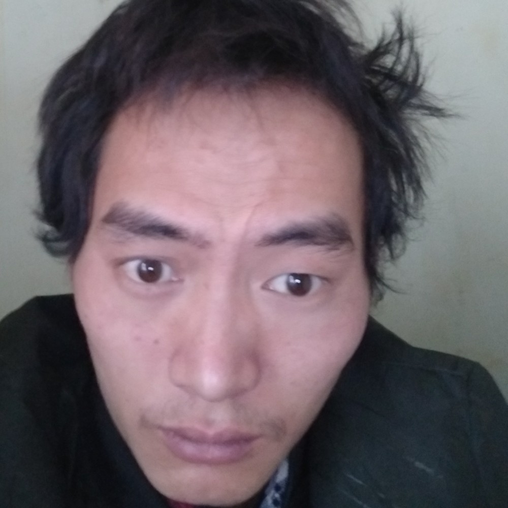 温婉美女的照片
