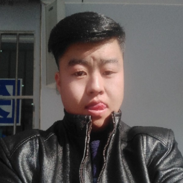 乌龟彼年的照片