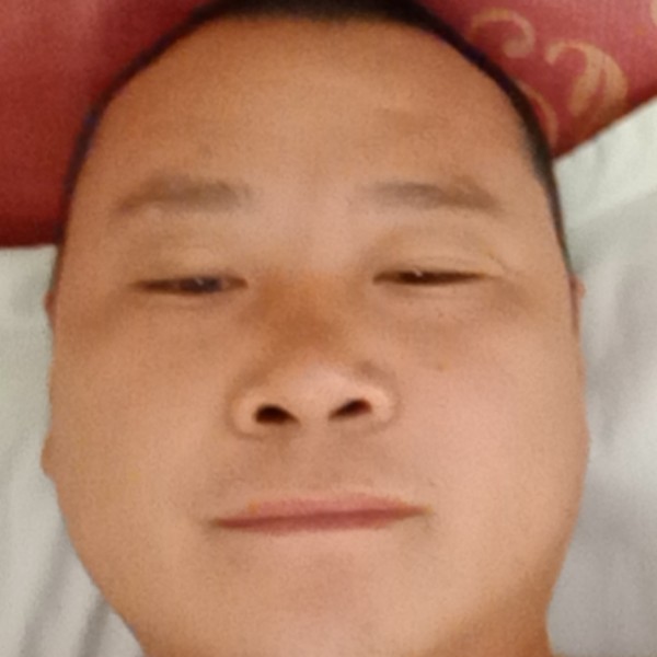 1562589的照片