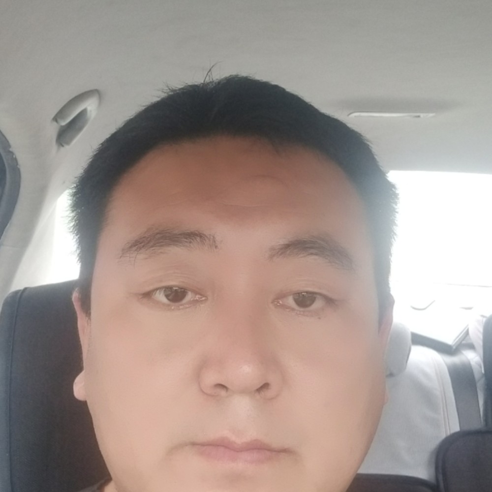 一天到晚游泳的羊的照片