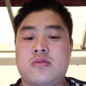 小天鹅听话的照片
