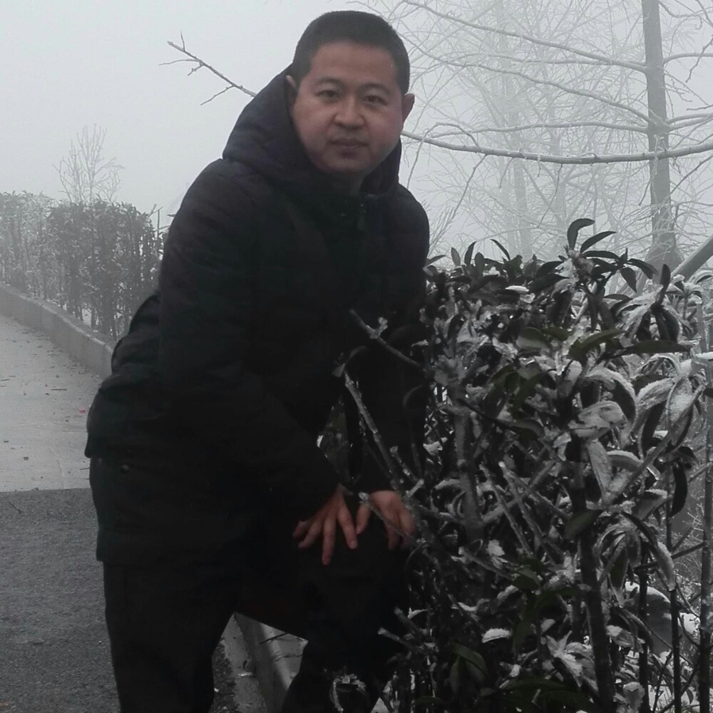 云中龙舞的照片