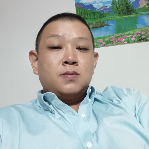 舒服停止大树的照片
