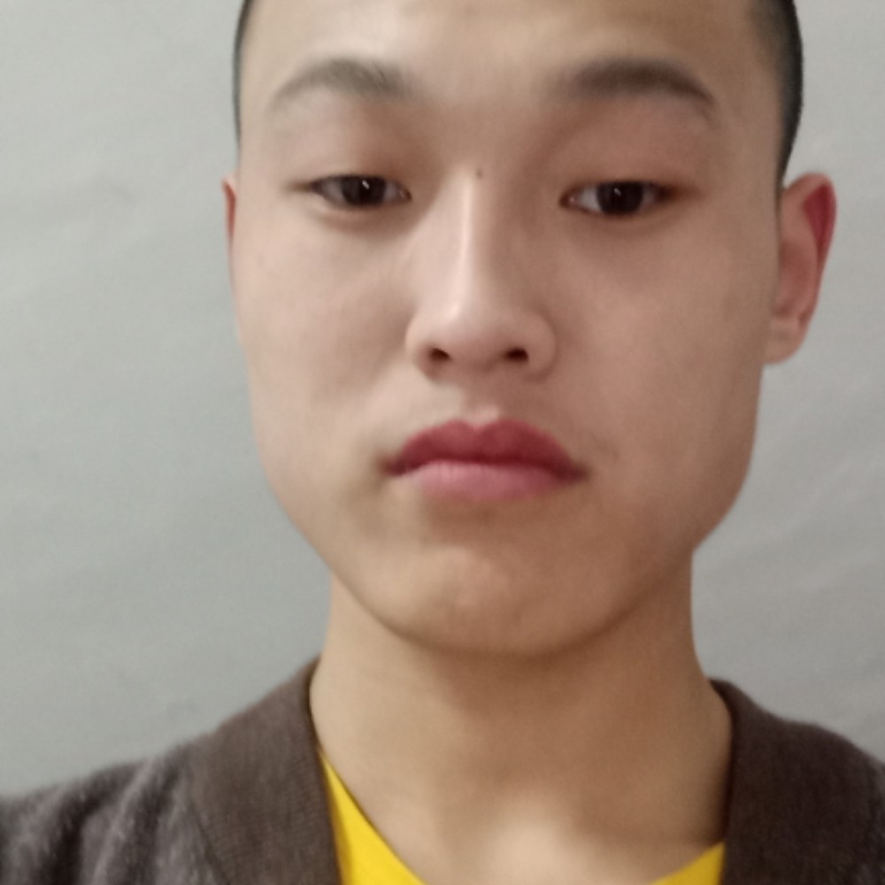 海燕放弃流年的的照片