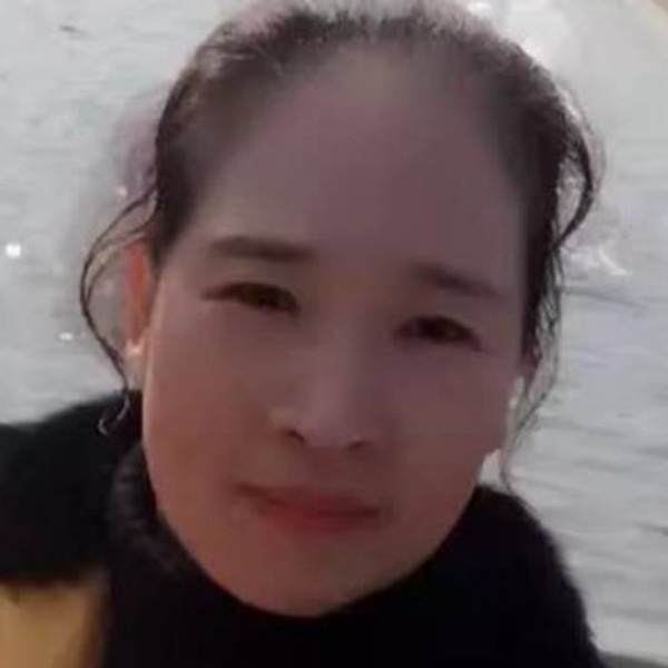 玫瑰的照片