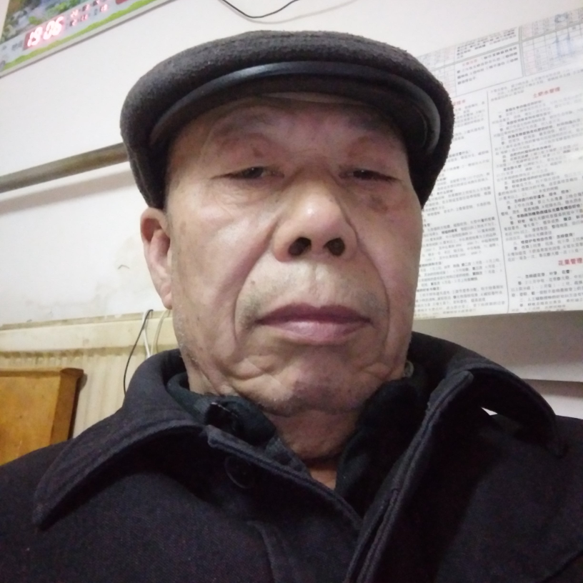 小蝴蝶害羞的照片