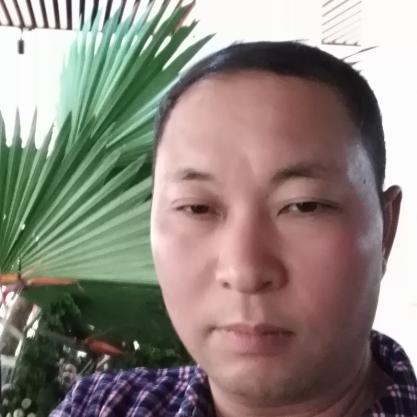 蝶舞爱坚定的照片