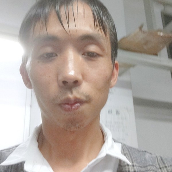 凤凰小宇的照片