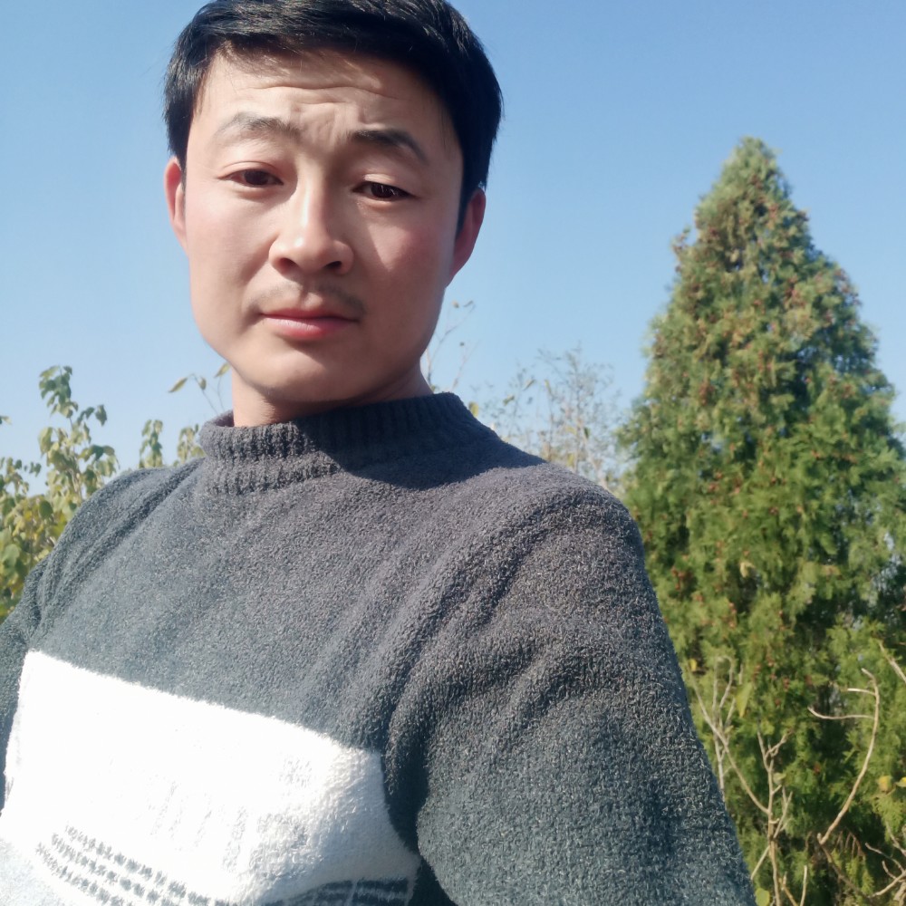 青衫挽手孤独的照片