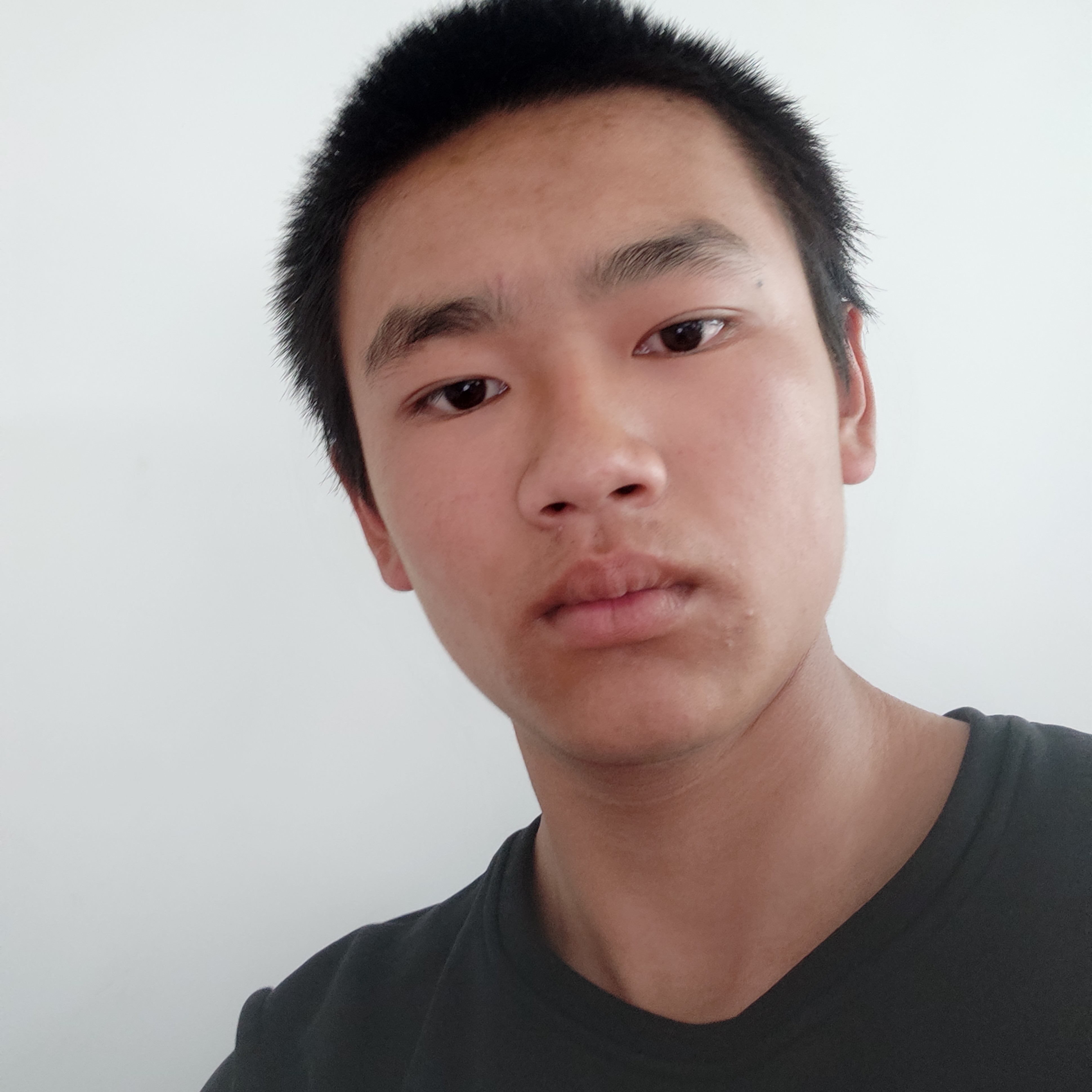 冰棍苦恋机智的照片
