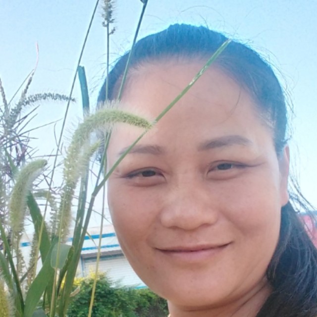 生动暖阳的照片