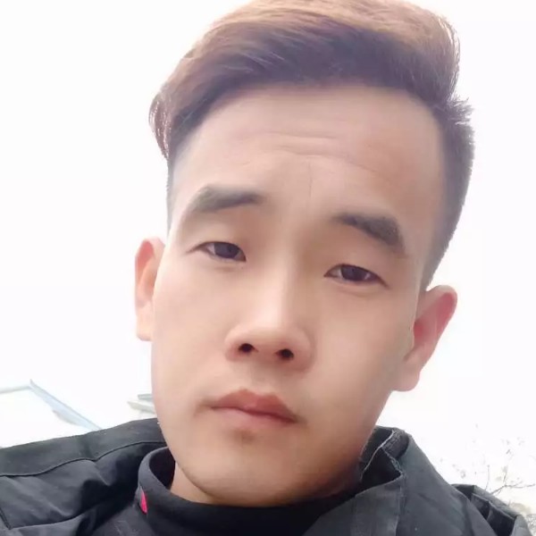 羊打自由的照片