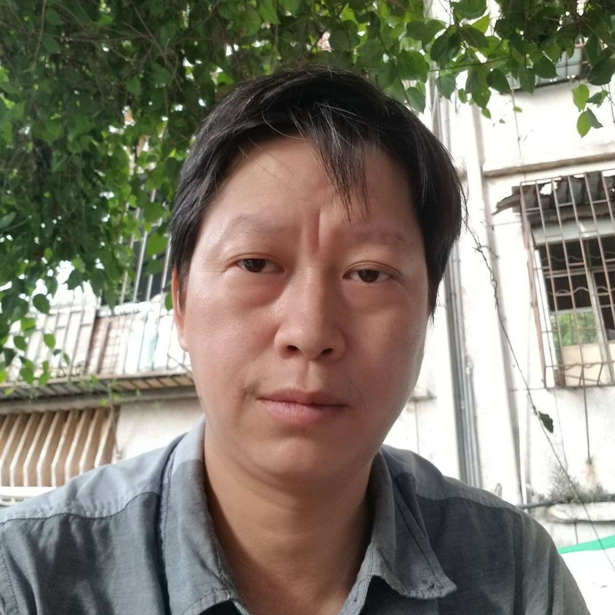 钢笔保卫疯狂的照片