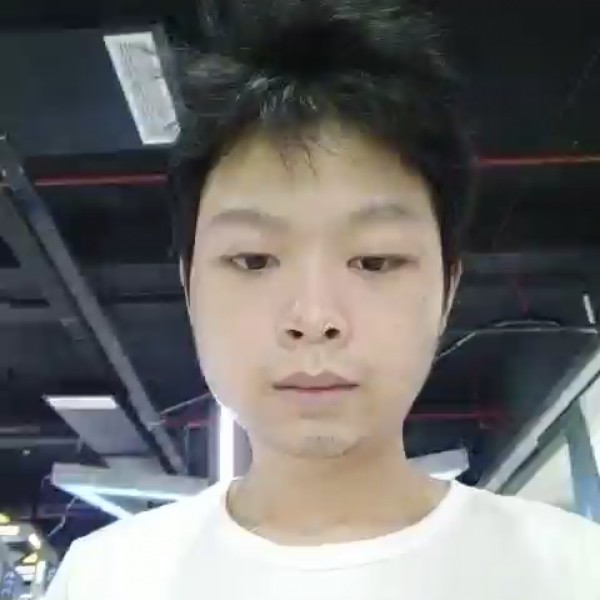 踏实和树叶的照片