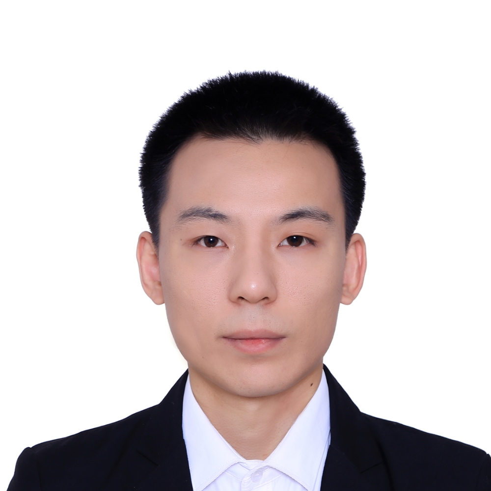 树旁落叶的照片