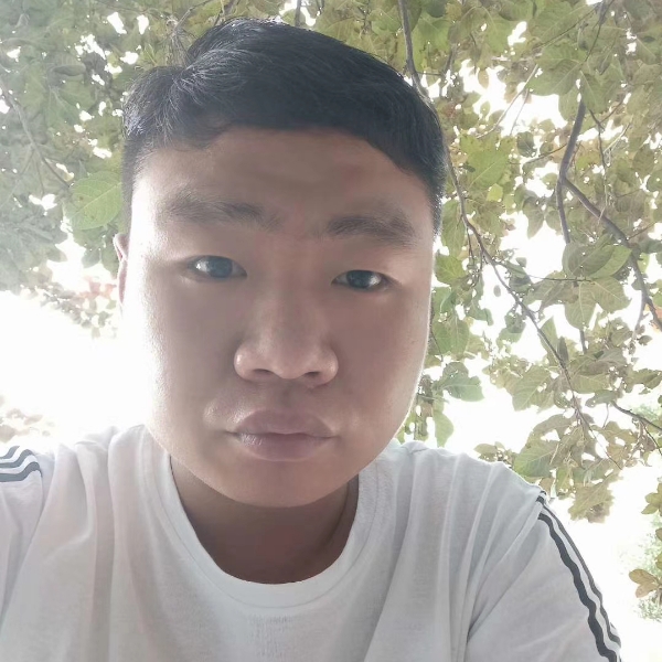 大象顺利的照片