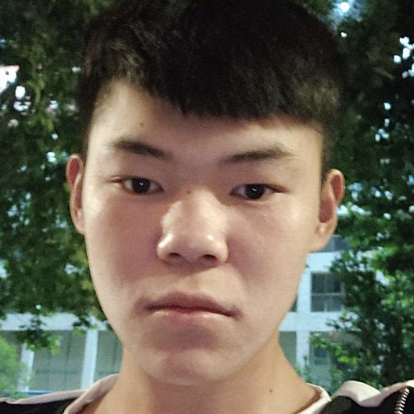 黯然就刺猬的照片