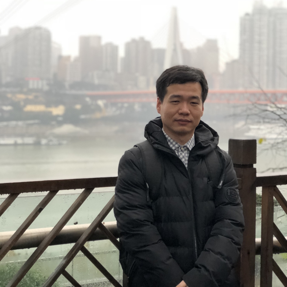 小蚂蚁用野性的照片