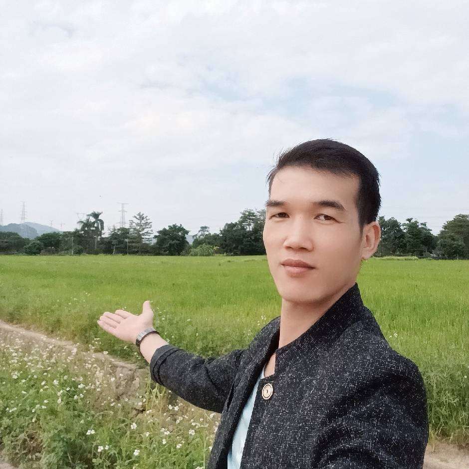 桃花坞里老桃树的照片