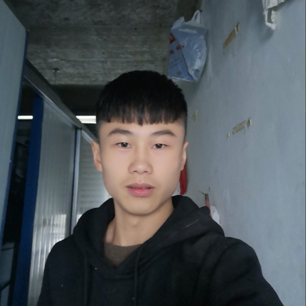芽菜的照片