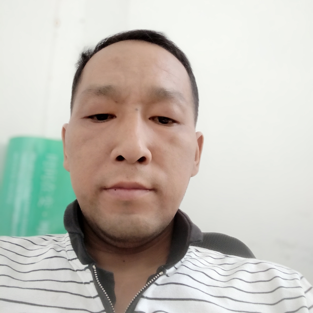 寒风标致的照片