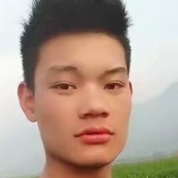 结实吃醋羊的照片