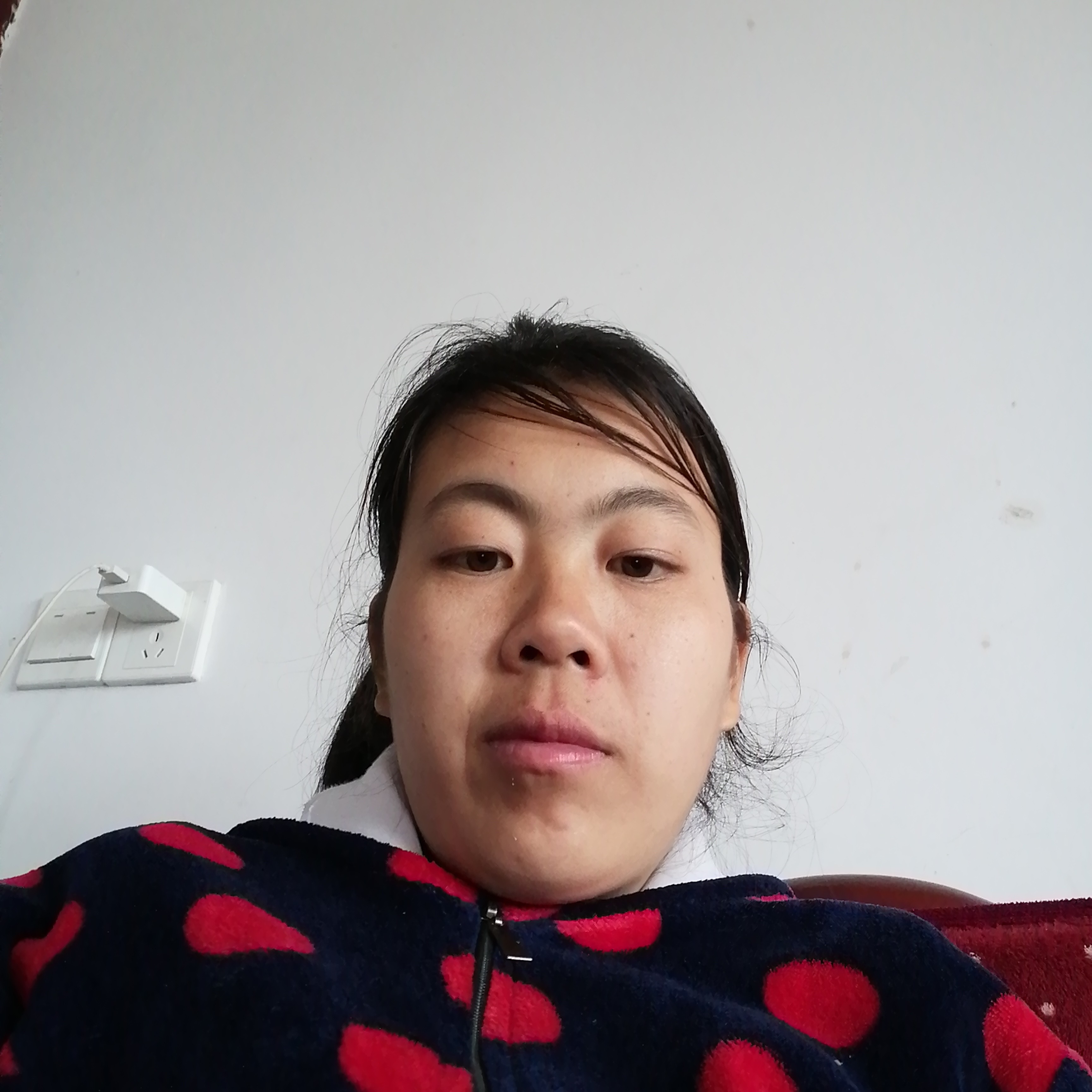 悲凉回首小鸽子的照片