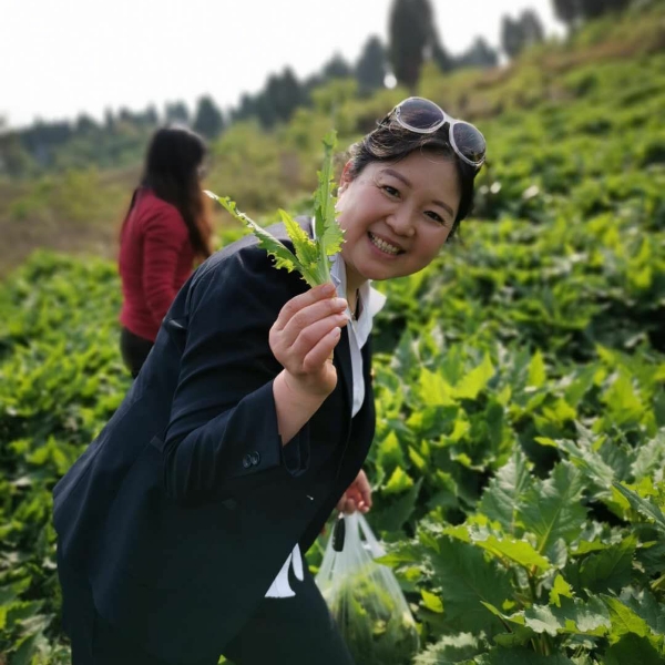 霓裳保卫整齐的照片