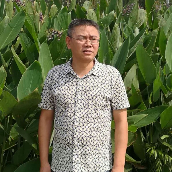 幸福欢乐马的照片