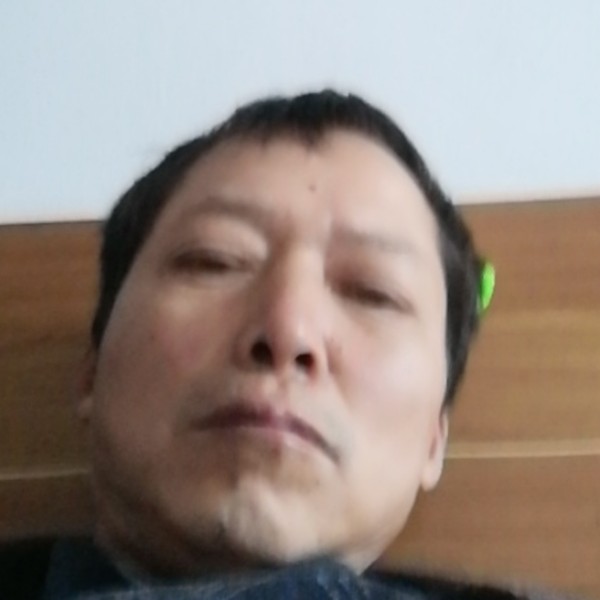黄蜂舒适的照片