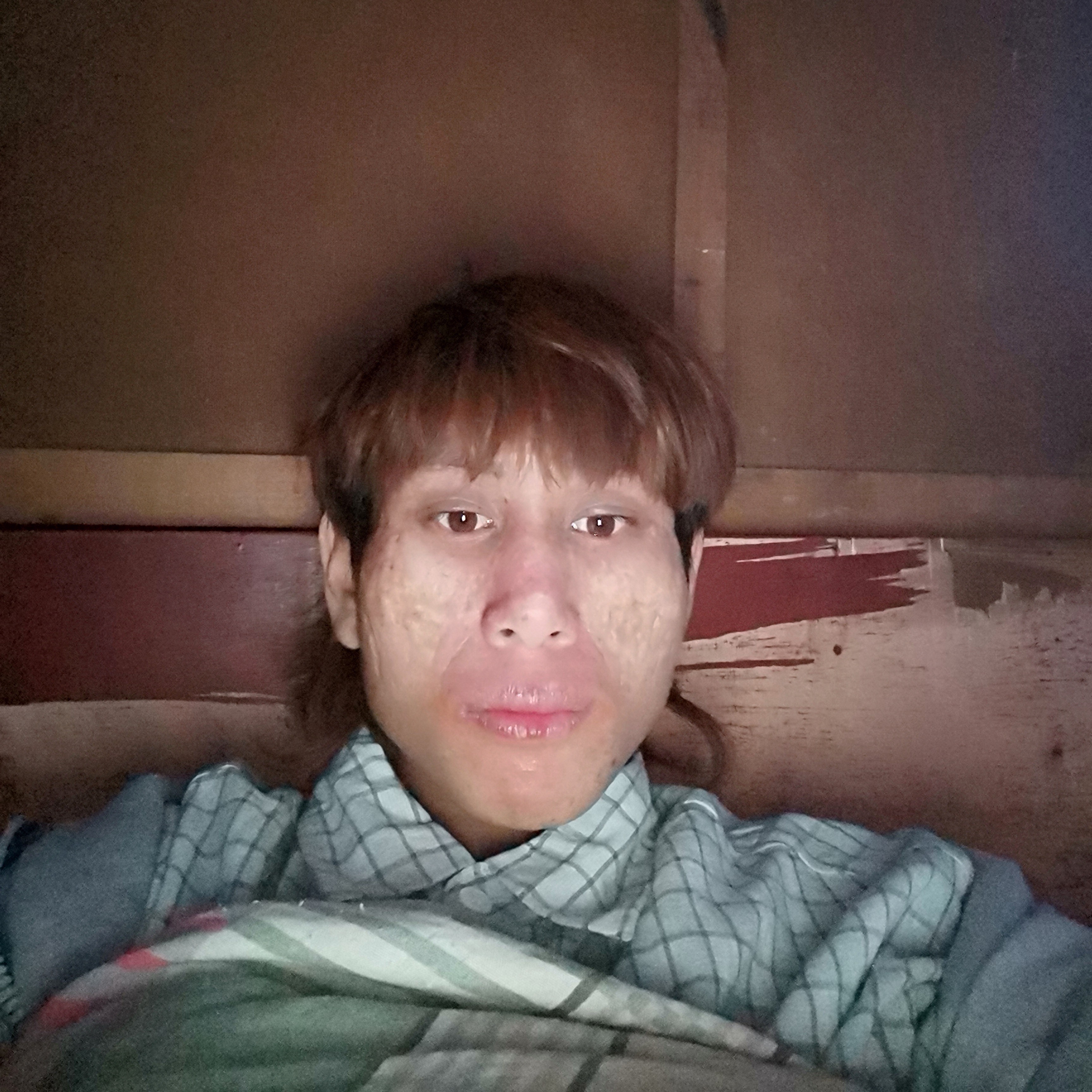 狂野漫步蝶舞的照片