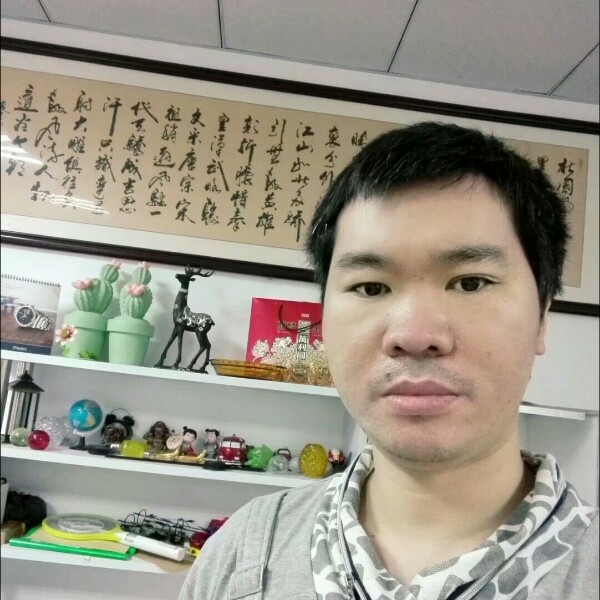 海洋森林的照片