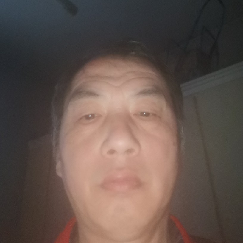 小金鼠的照片