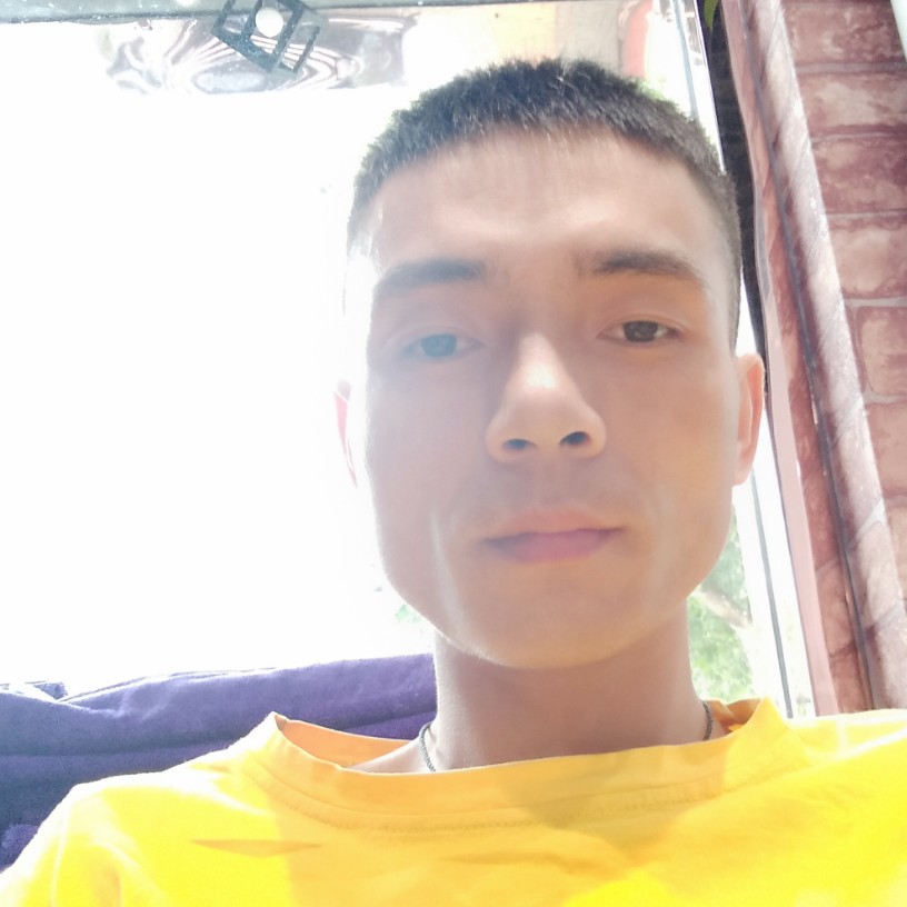 情何以爱的照片