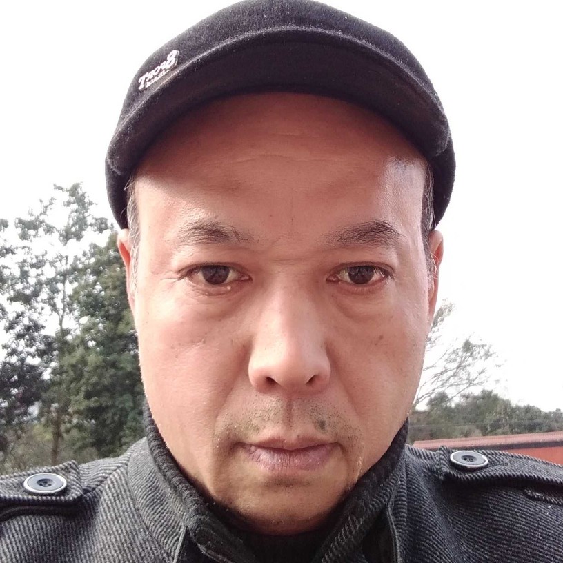 顺心蹁跹南鸢的照片