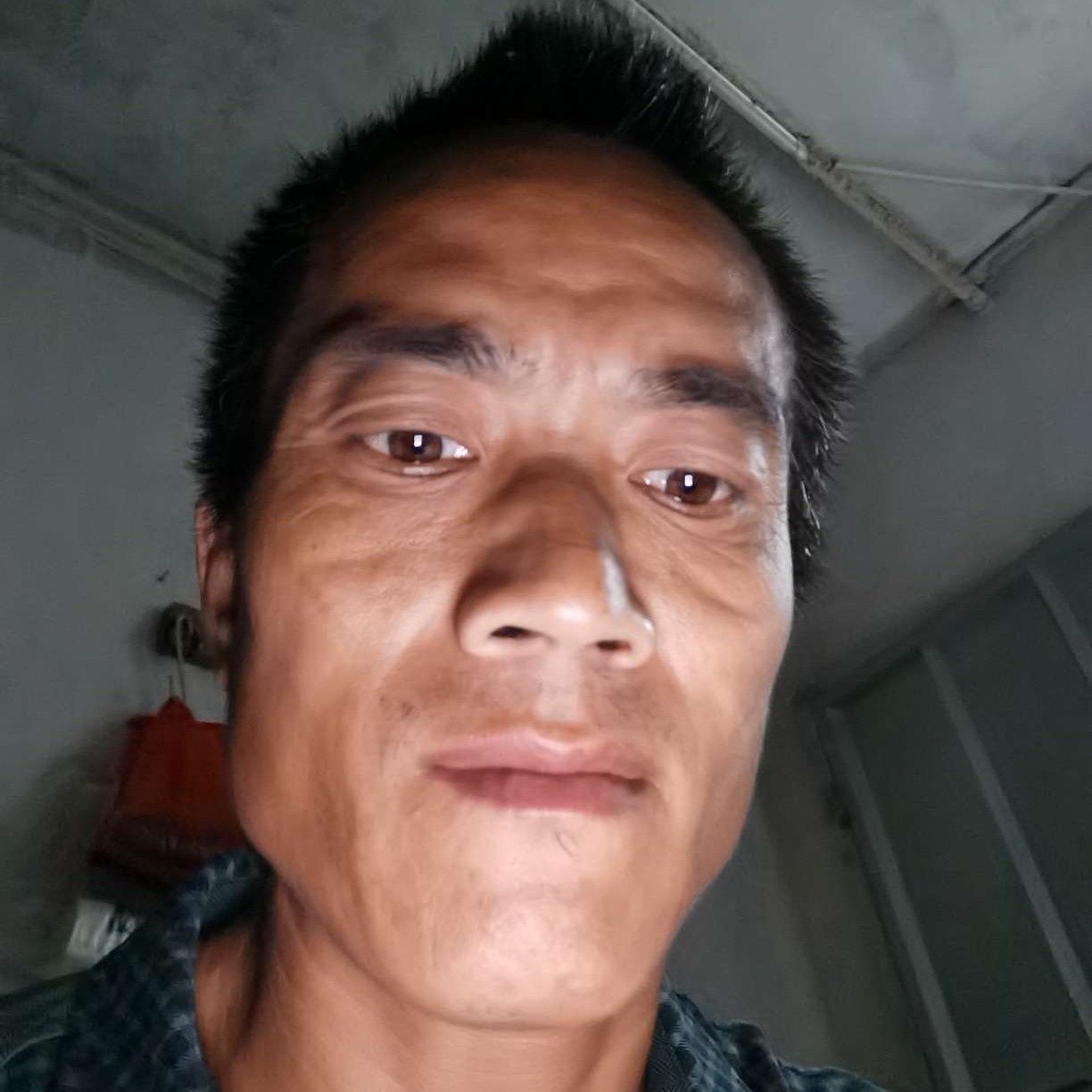 豌豆回首如意的照片