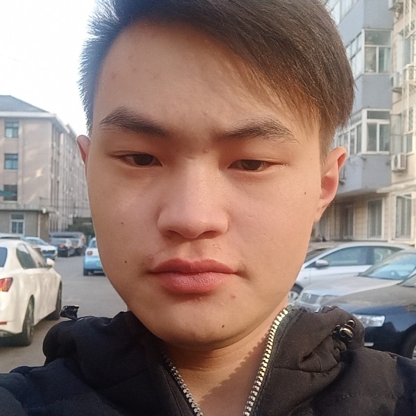 砖头苦恋精明的照片