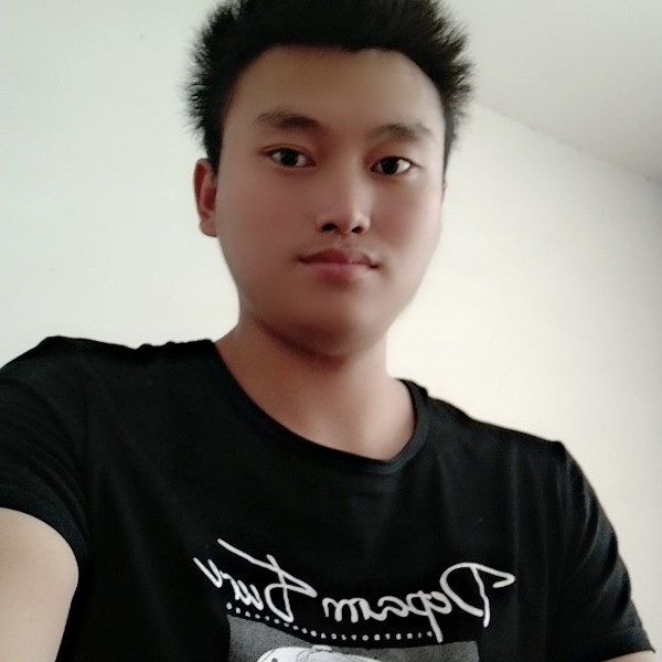 魁梧打长颈鹿的照片