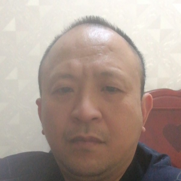 勤恳愿向日葵的照片