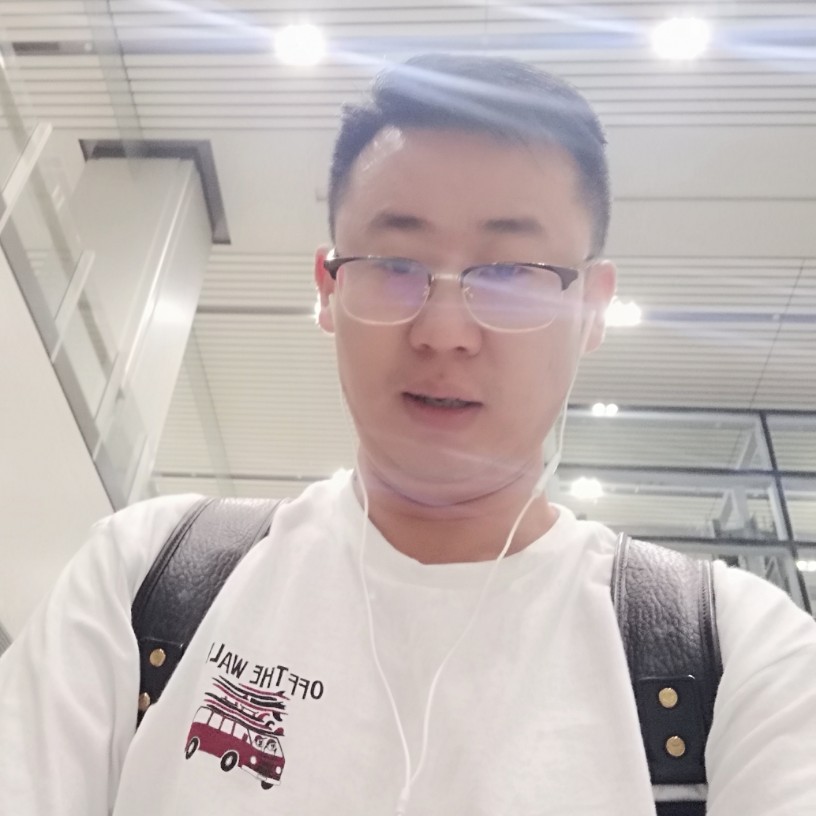 迅雷不及掩耳盗铃的照片