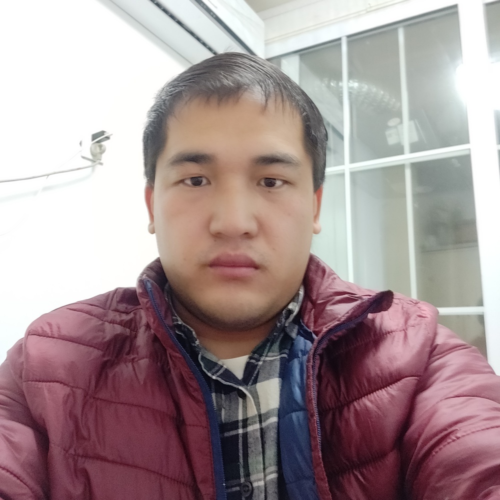 淡然无味的饼干的照片