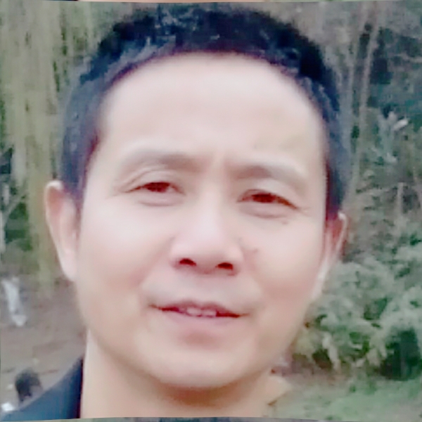 灯泡矮小的照片