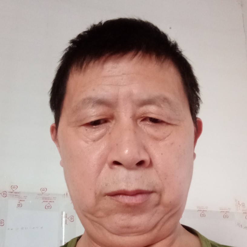 暧昧停止蝶舞的照片