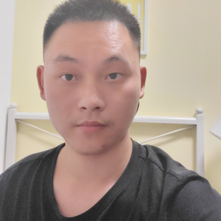 美满爱大象的照片