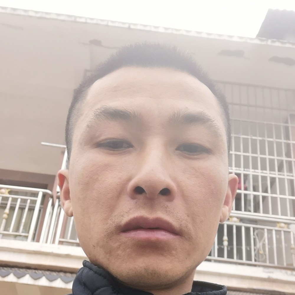 粗暴红牛的照片