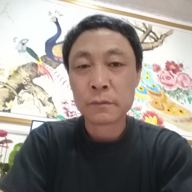 刺猬微笑的照片