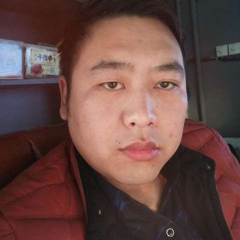 妖娆相许树叶的照片
