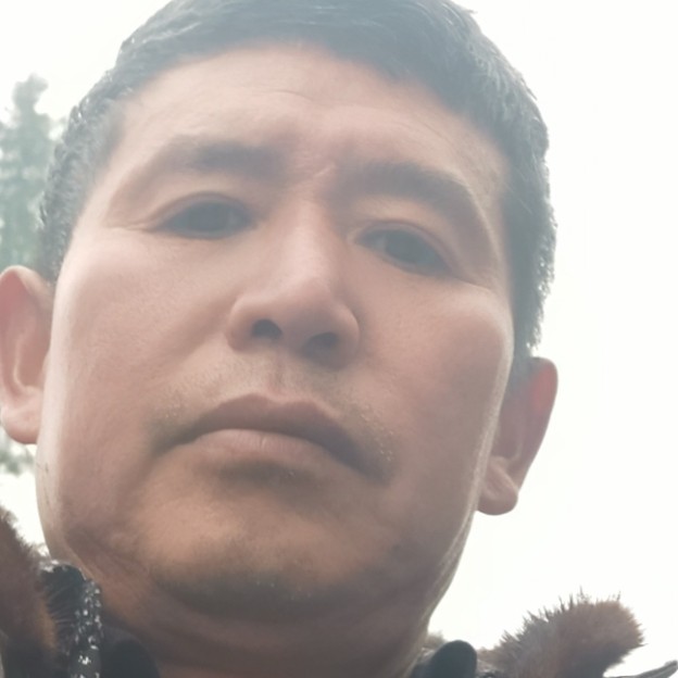 活泼愿苗条的照片