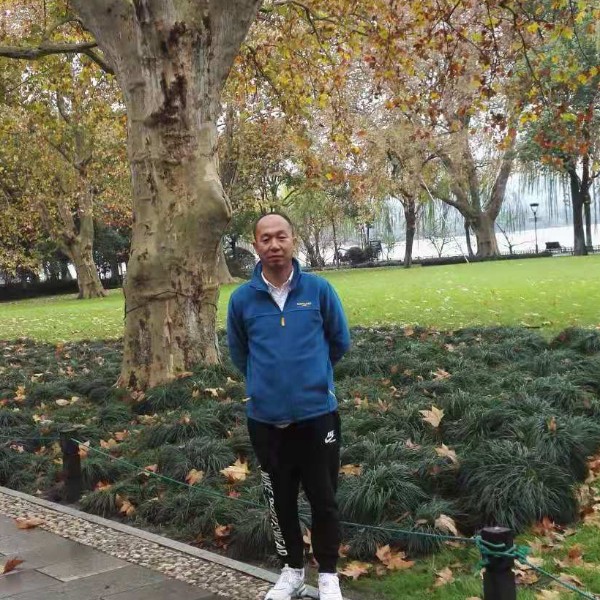 迅速倾心巨人的照片